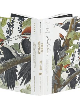 九口山精美鸟类插画方格笔记本