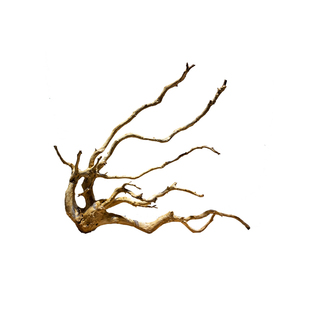 杜鹃根沉木枝条树形骨架鱼缸造景树根树桩精品小号莫斯树天然插花