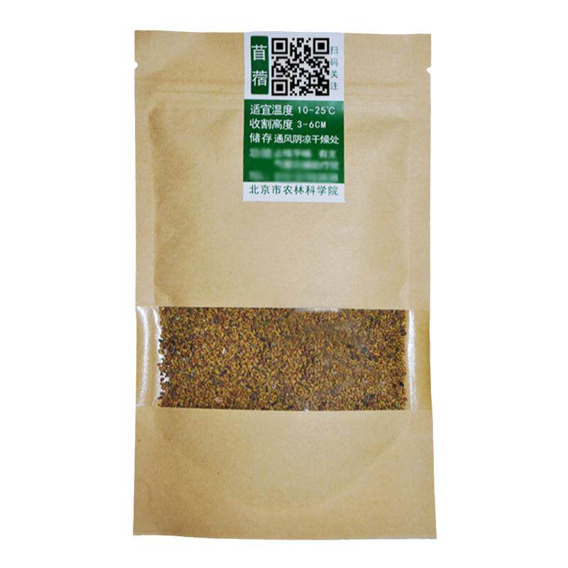 紫花苜蓿牧草四季易种饲料草籽