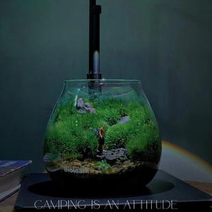 「空城里」泡泡杯苔藓桌面生态瓶微景观玻璃瓶空城里指尖微景