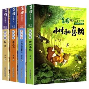 金波四季美文童话一年级注音美绘版全套4册童话集大自然的故事树和喜鹊沙滩上的童话雨点阳光小学生一二年级课外阅读童话故事书