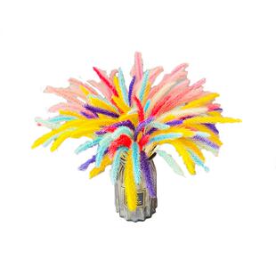 北欧ins自然芦苇彩色狗尾草满天星干花花束客厅绿植橱窗摆件装饰