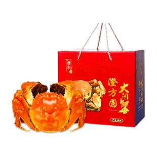 活蟹苏州澄方圆阳澄湖大闸蟹鲜活全母蟹3.0两8只鲜活特大礼盒装