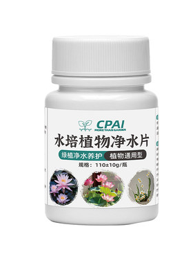 净水片长效净化水质除臭杀菌消毒