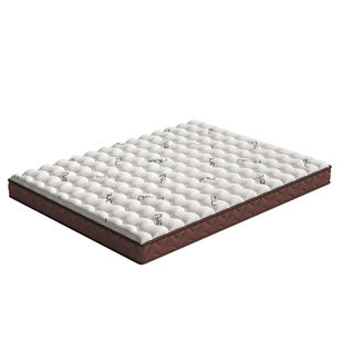 S型精细纯黄麻床垫子硬家用婴儿童护脊天然椰棕榈乳胶m榻榻米定制