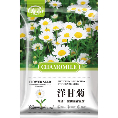 3月花种子籽子除虫菊万寿菊