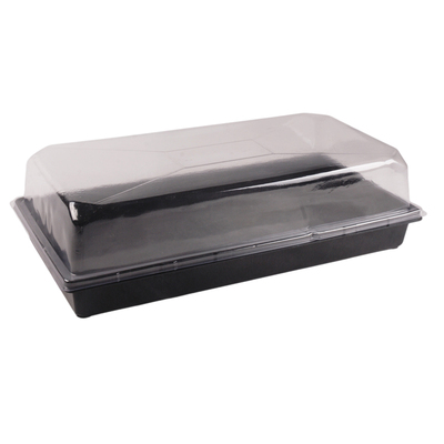 穴盘收纳培育箱扦插播种嫁接耐用