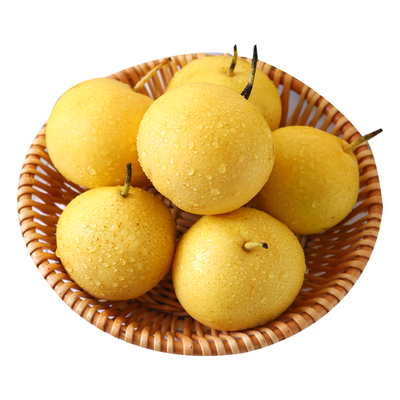 东北京白梨新鲜当季非香水梨水果