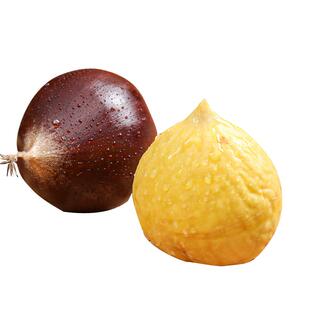 2025年新鲜生板栗建瓯锥栗高山油栗子现摘野生毛栗带壳榛子可糖炒