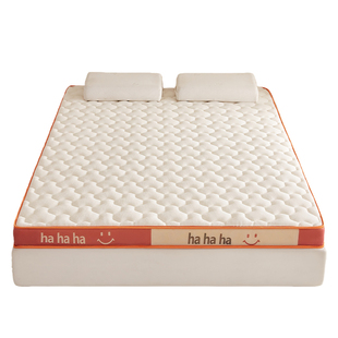 牛奶绒乳胶床垫家用卧室软垫冬季加绒保暖学生宿舍单双人床垫褥子