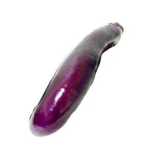 紫红长茄种子春季四季田园阳台盆栽茄子四季种植瓜果庭院蔬菜种子