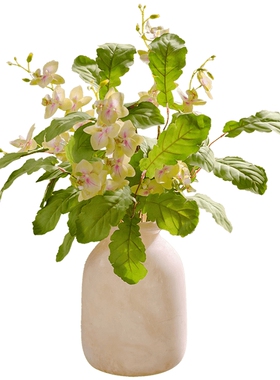 清新仿真油菜叶盆栽假花仿生绿植