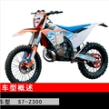 2024 Z300 2-Stroke (Pre-Order)