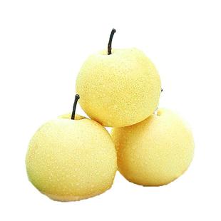 山西贡梨优质果冰糖蜜梨新鲜梨子水果原产地应季现摘现发整箱10斤