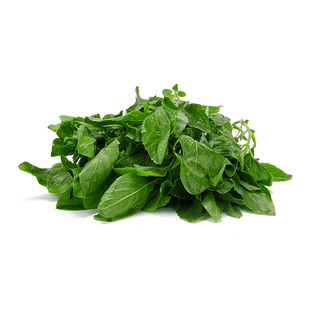 新鲜甲抛叶打抛叶塔抛叶泰国香料食用食材塔抛叶嘎抛叶甲抛蔬菜