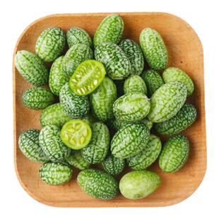 拇指小西瓜种子种籽苗秧秧苗迷你青瓜母指西瓜阳台四季水果黄瓜孑