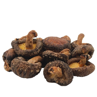 椴木香菇干货500g农家冬菇蘑菇含小花菇散装土特产非庆元野生菌