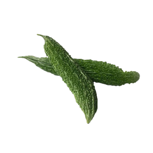 碧珠2号黑珍珠苦瓜种子疙瘩黑苦瓜种籽墨绿青菜四季春夏秋冬大田