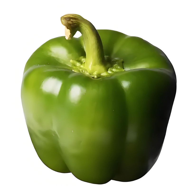 甜椒种子菜椒籽蔬菜种子