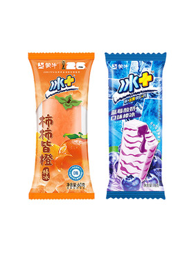 5支蒙牛冰+系列水果味冰淇淋冰棍