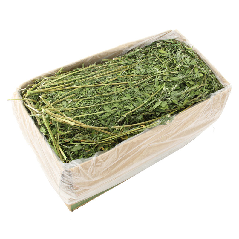 25年新草精品烘干苜蓿草兔子食用草龙猫干草荷兰猪牧草净重750克