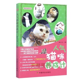 人气猫咪养成记 宠物饲养管理参考指导书 宠物服饰DIY书籍 猫喵美容护理造型及驯化技巧书籍 人气猫咪养成计 猫咪饲养与管理图书籍
