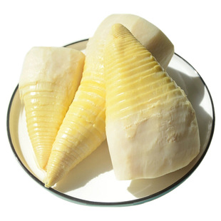 竹笋冬笋新鲜2025新鲜水煮笋野生竹笋春笋蔬菜火锅清水笋楠竹笋