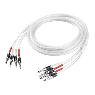 杨阳发烧HIFI音响线喇叭线12股单晶铜镀银主音箱线功放音频连接线