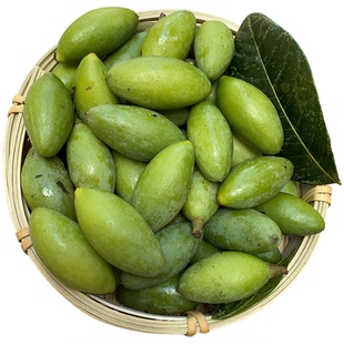 25新鲜橄榄檀香青橄榄果水果生青果孕妇煲汤福建青橄榄二号福州