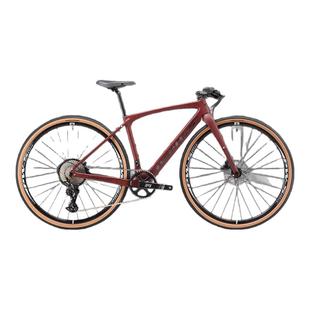 PARDUS瑞豹飓风URAGANO F碳纤维12速平把瓜车砾石公路Gravel