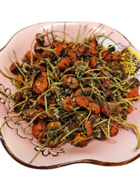 菊花茶雪菊胎菊昆仑山新疆特产