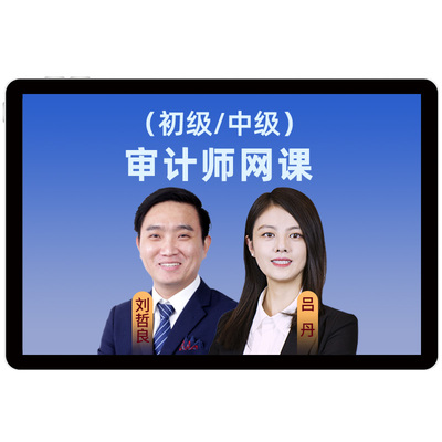 环球网校2025初级中级审计师课件视频教材精讲班习题班冲刺真题库