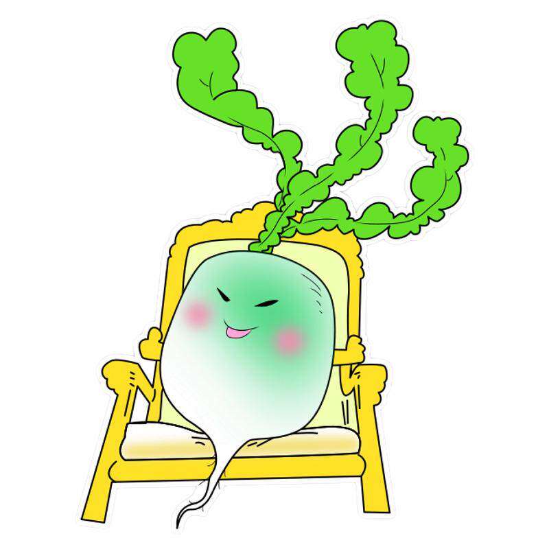 一园青菜成了精绘本故事毛毡玩具