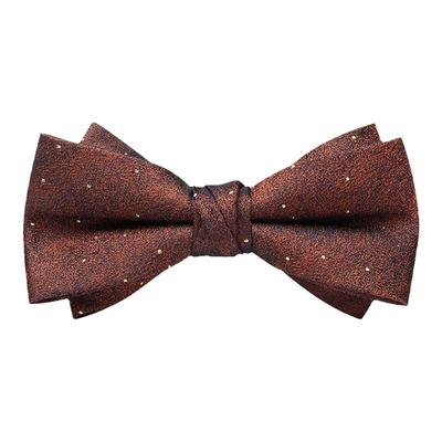 优雅咖啡色波点男士领结