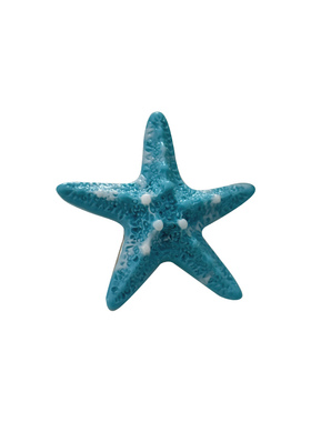夏日多巴胺仿真海星发夹女度假风