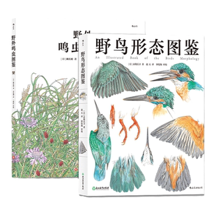 后浪正版现货 野鸟形态图鉴+鸣虫图鉴 2册套装 鸟类图鉴野生动物自然观察博物学生物科普书籍