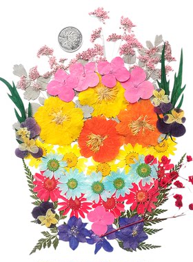 ZXH真花真叶大组合材料包实惠