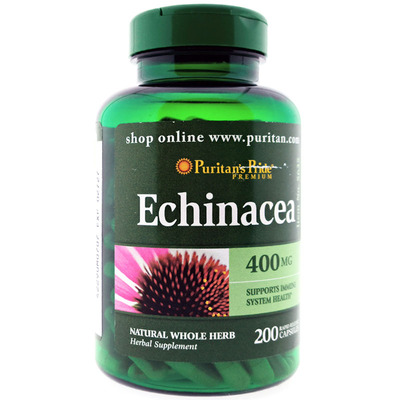 普丽普莱紫锥菊松果菊免疫力