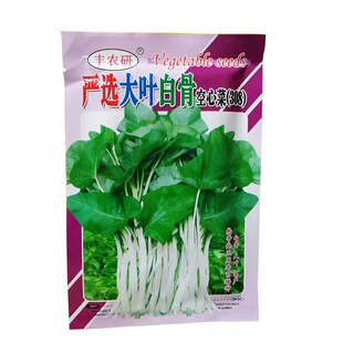 柳叶白骨青骨梗空心菜种子三叉大叶通菜春夏秋播种500克蔬菜籽孑