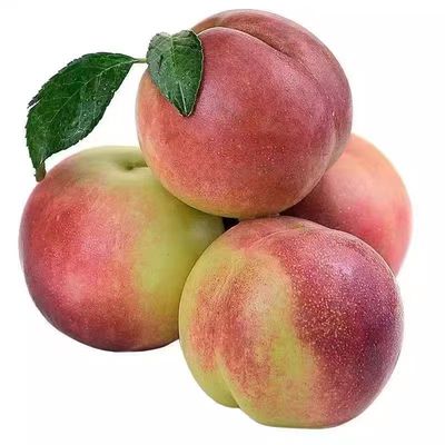 正宗青州冬雪蜜桃当季新鲜水果