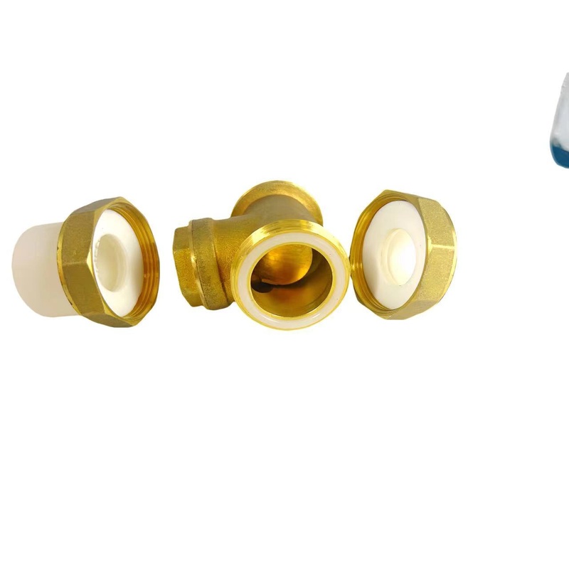 铜PPR立式止回阀卧式逆止阀单向阀4分6分1寸热熔配件水管防倒流阀