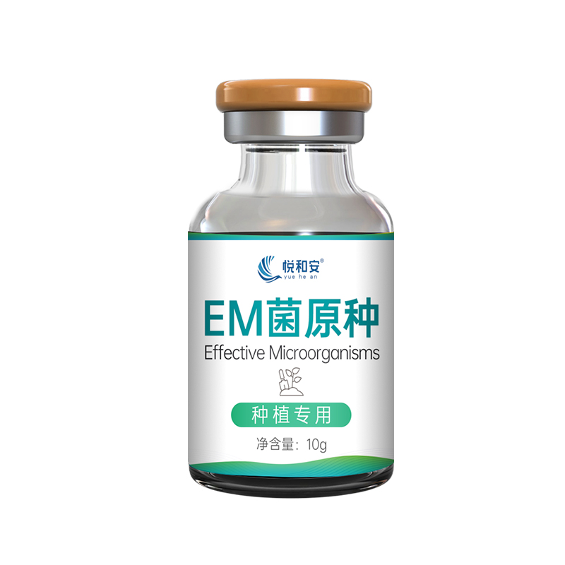 EM菌种原种水产养殖发酵浓缩乳酸菌液厂家直销芽孢杆菌原种种植用