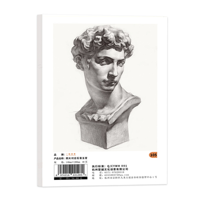 照片对应石膏五官作品完整素描临摹卡 素描石膏五官头像临摹范本范例美术绘画零基础入门临摹画册教材色彩教程