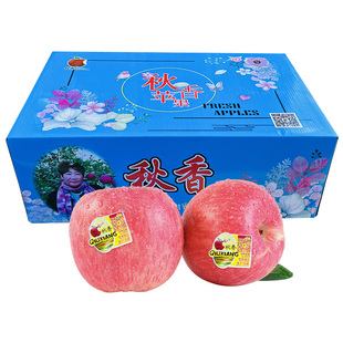 栖霞红富士苹果秋香苹果礼盒净果9斤15个装 时令水果山东大苹果