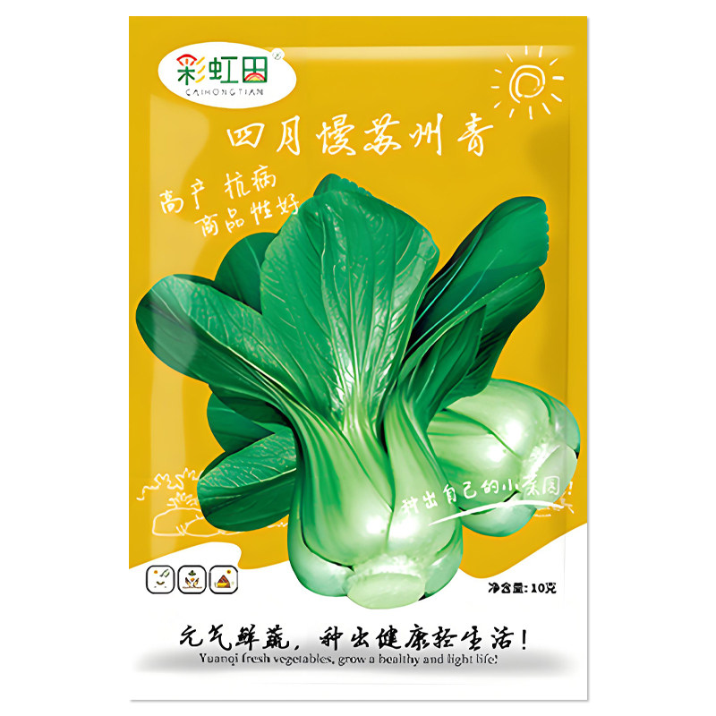 四月慢苏州青种子上海青