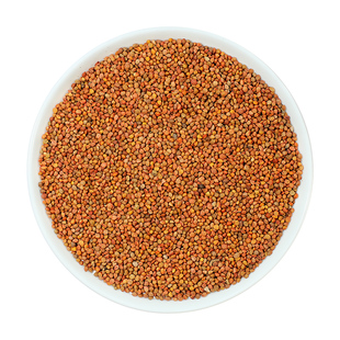 楮实子10g 国药集团冯了性中药饮片批发小包装中药材抓配中国药材