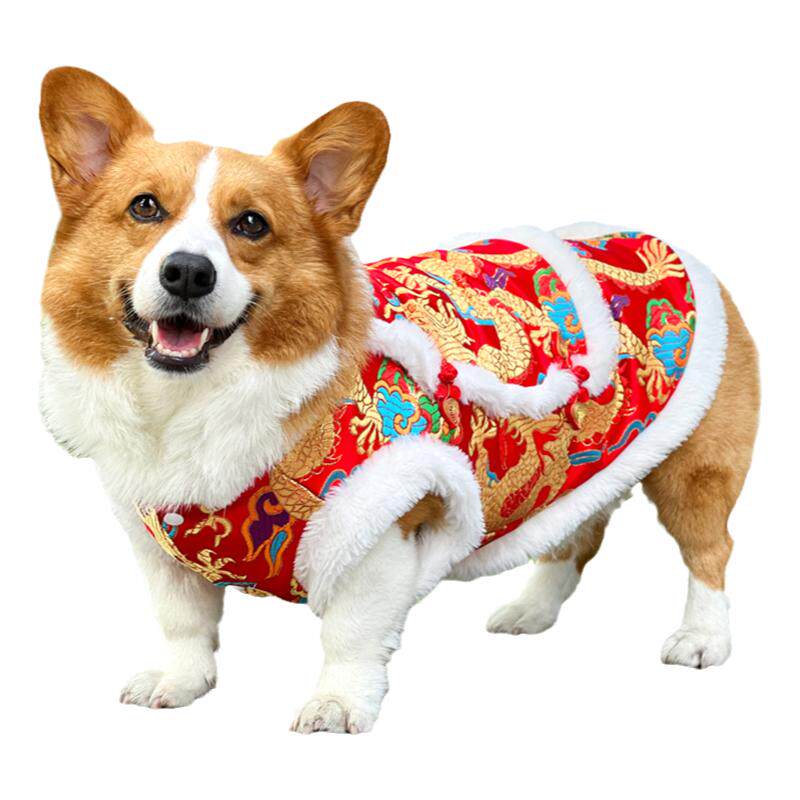 宠物狗狗过年衣服秋冬装保暖