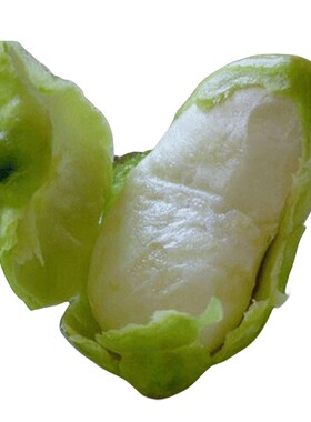 鲜甜可口水果菱南湖菱菱角米肉