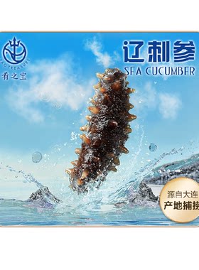 肴之宝底播海参大连免泡即食海参