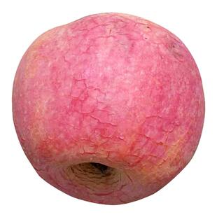 河南三门峡西张村高山红富士丑苹果当季新鲜孕妇水果现摘现发大果